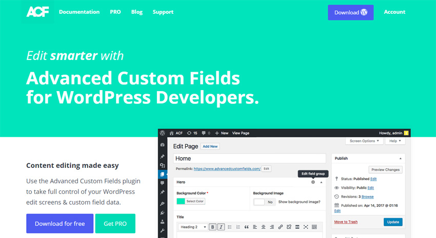 Произвольные поля WordPress